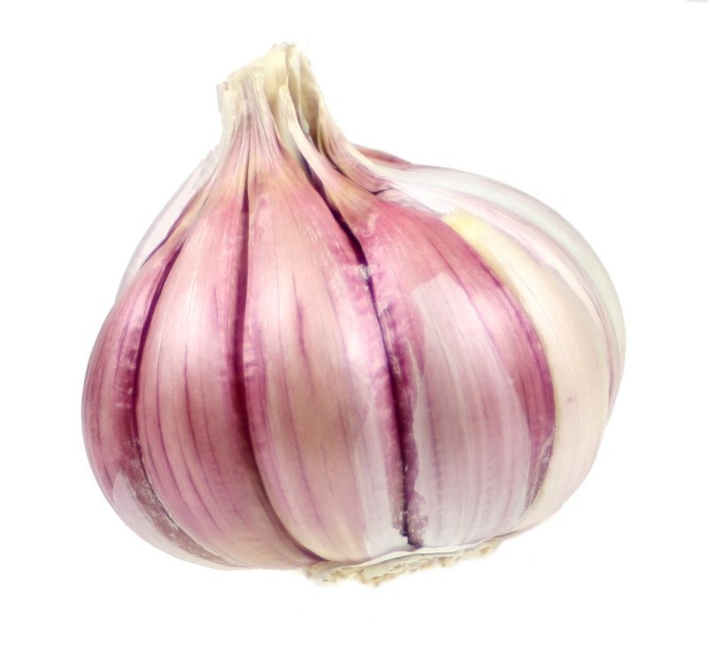 garlic on a white background